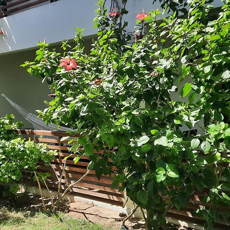 הוילה ז'יז'וקה דה ז'ריקואקוארה Casa Betti מראה חיצוני תמונה