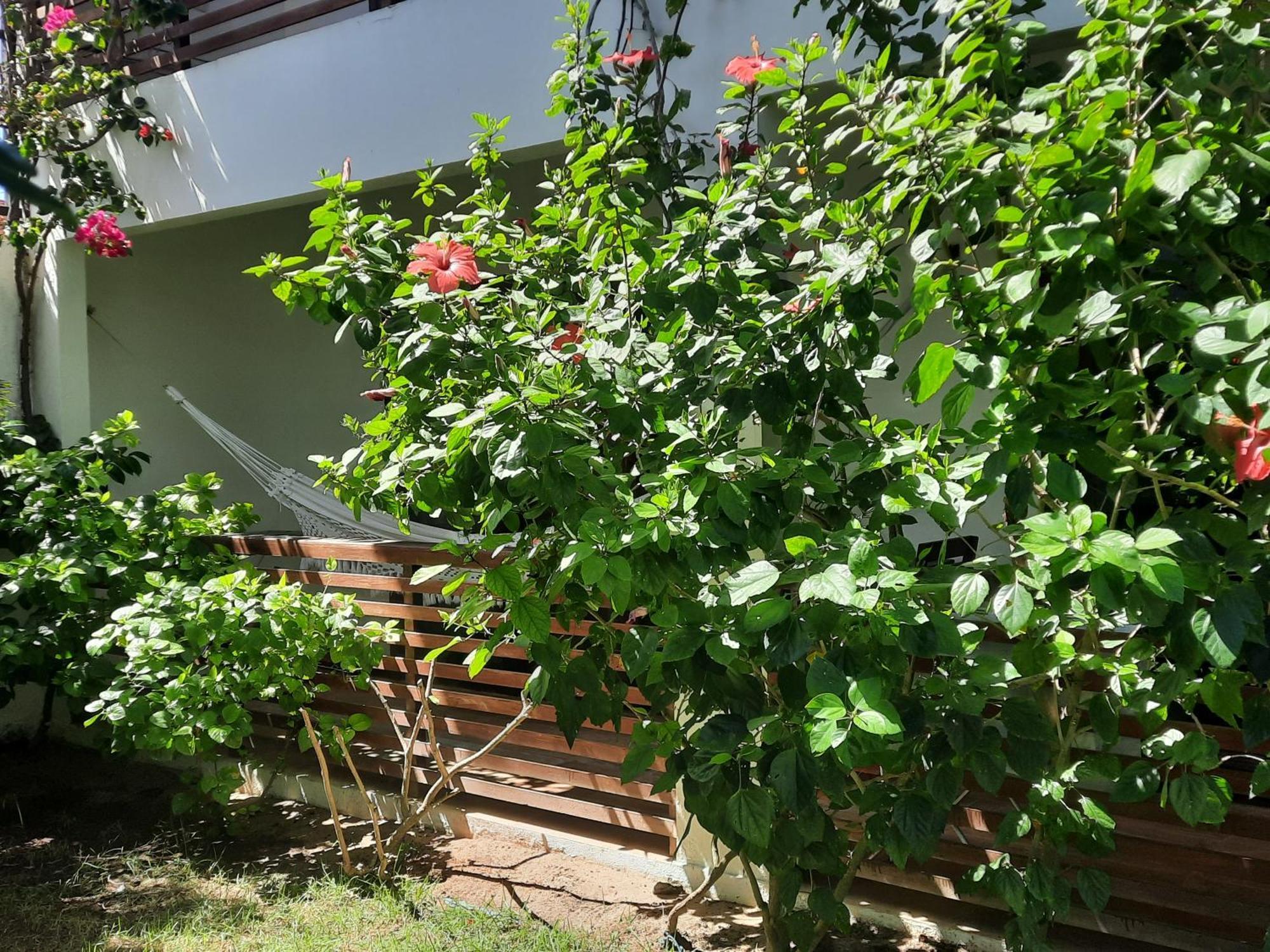 הוילה ז'יז'וקה דה ז'ריקואקוארה Casa Betti מראה חיצוני תמונה